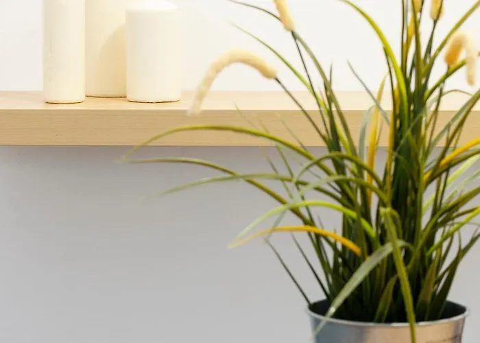 Appartement Cdz - Carmen Coronada *