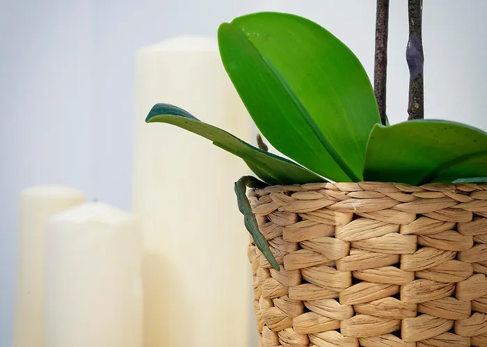 Cdz - Carmen Coronada Appartement Cádiz