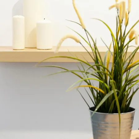 Apartment Cdz - Carmen Coronada *