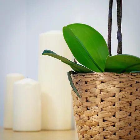 Cdz - Carmen Coronada Appartement Cádiz